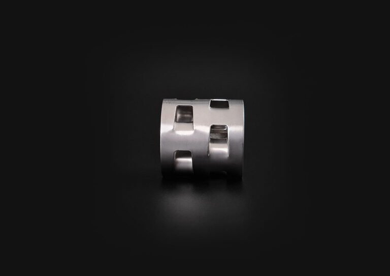 Stainless Steel Pall Ring